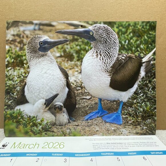 NWOT World Wildlife Fund 16-Mo. Wall Calendar, 9/2025 - 12/2026, 11"T x 8 1/2"W - Picture 6 of 16